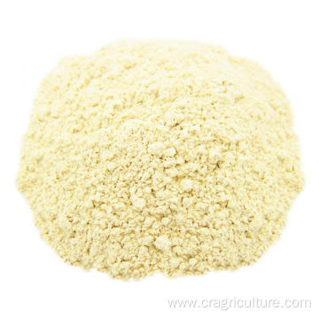 Organic Garlic Powder Bulk For Sale